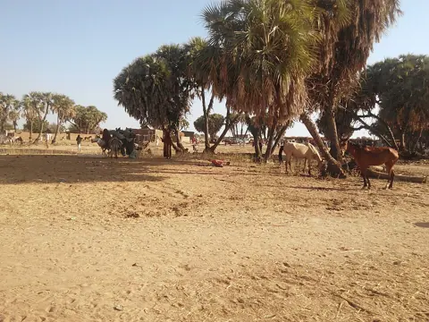 Am Timan, Chad — Marche du dimanche à AM-TIMAN