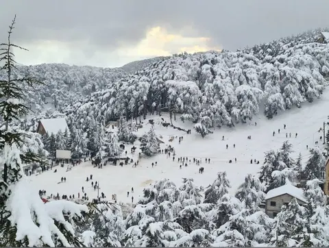 Blida, Algeria — Chrea blida snow