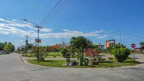 Blauwgrond, Suriname — Leonsberg (31239515295)