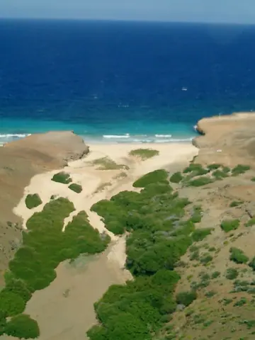 Santa Cruz, Aruba — ARIKOK NATIONAL PARK - DAIMARI BAY - panoramio