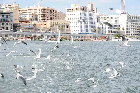 Port Said, Egypt — Port said egypt (6)