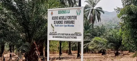 Rumonge, Burundi — Bienvenue à la Réserve Naturelle de Rumonge